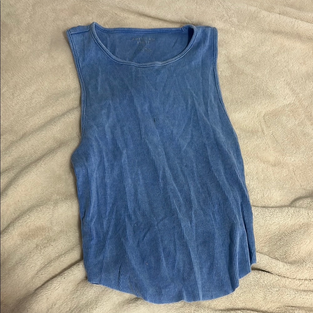 American Eagle Outfitters Blue Sleeveless Muscle Tee